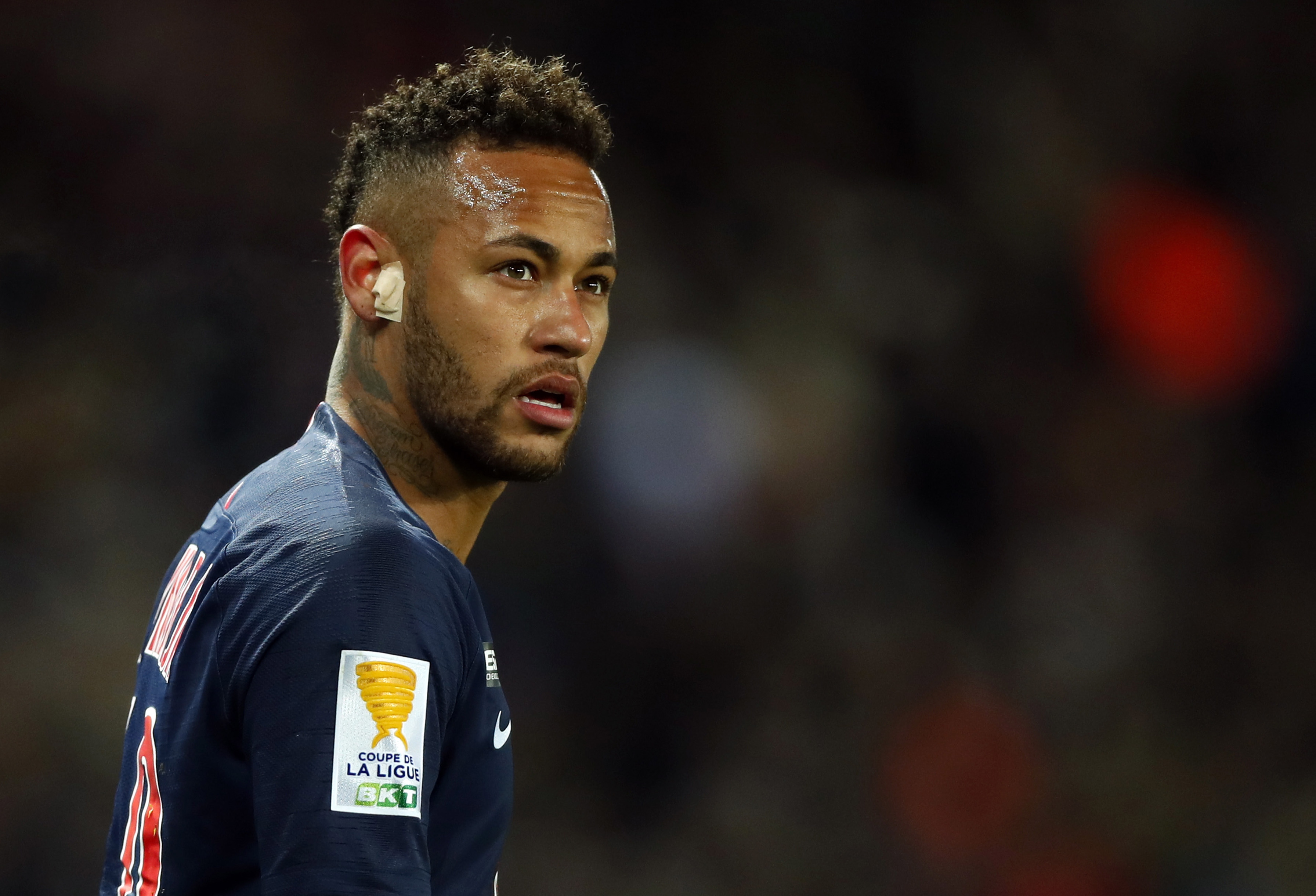 冬会增添了 冬会增添了