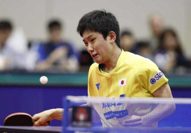 可能会被复 可能会被复