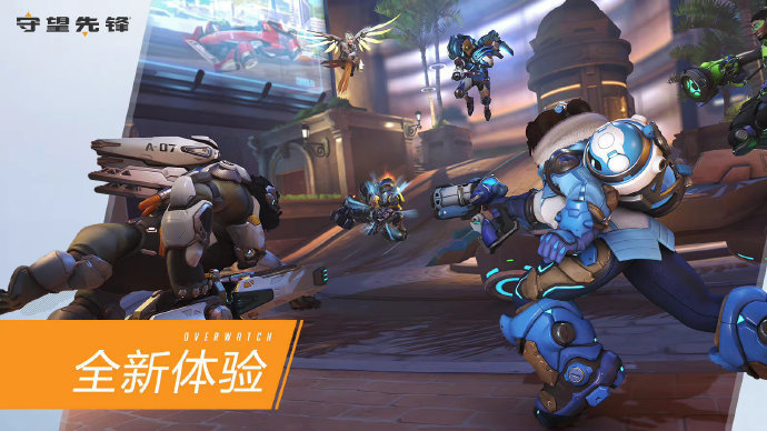 球员种族组 球员种族组